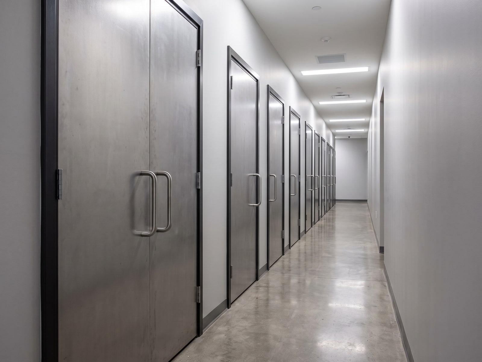 Commercial Flush Doors
